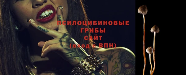 кокс Баксан